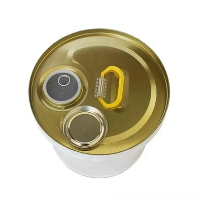 Un seau en acier à tête étroite de 19L 5 gallons avec un couvercle à bec flexible pour l'amincissement
